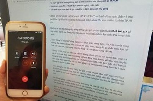 Đường dây nóng trực dịch tả lợn châu Phi tại Hà Nội ... 'đông lạnh'