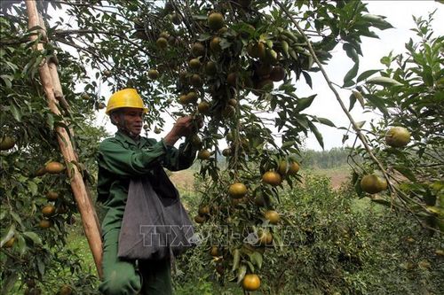Bắc Kạn tìm đầu ra cho nông sản