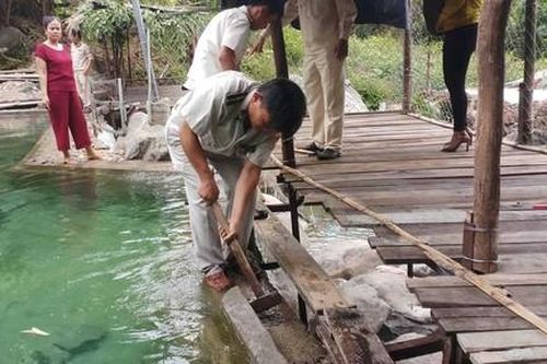 Tháo dỡ xây dựng trái phép trong khu du lịch bên rừng phòng hộ
