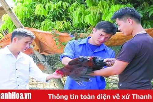 Một mô hình khởi nghiệp từ sức trẻ