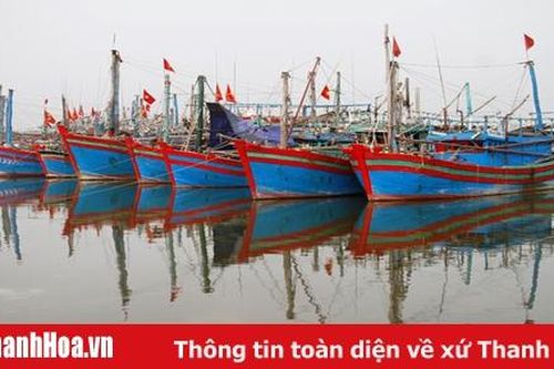 Triển khai thực hiện 'Tháng hành động bảo vệ nguồn lợi thủy sản vùng ven biển tỉnh Thanh Hóa'