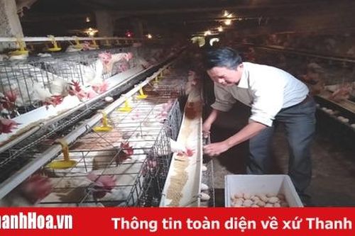 Tổ vay vốn - 'cánh tay nối dài' của Agribank