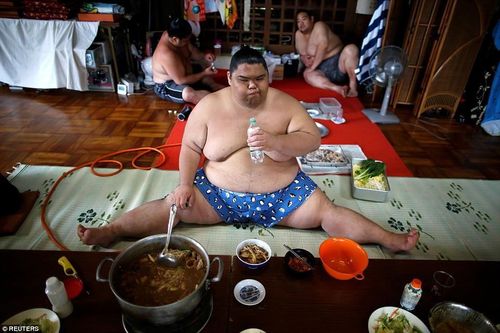 Đô vật Sumo hấp thụ 7.000 calo mỗi ngày mà vẫn khỏe mạnh?
