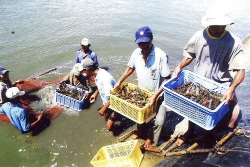 Xuất khẩu thủy sản: Hướng tới mục tiêu 10 tỷ USD