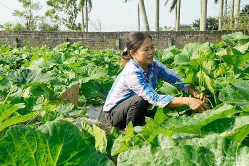 Cần huy động nguồn lực gây quỹ hỗ trợ nông dân