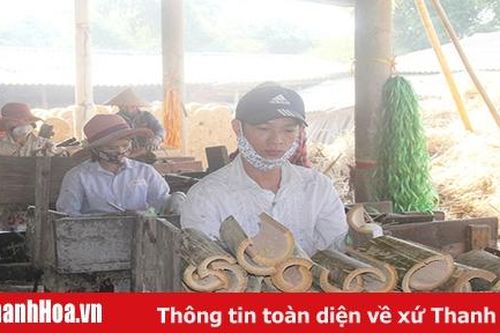 Huyện Bá Thước thu hút đầu tư phát triển công nghiệp, tiểu thủ công nghiệp