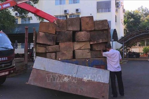 Kiểm tra các cơ sở sản xuất đũa ăn nghi tiêu thụ gỗ lậu ở Quảng Nam