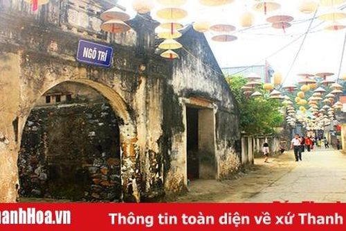 Những nền văn hóa cổ dọc bờ sông Mã