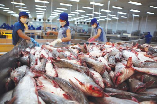 Cơ hội rất lớn để hàng Việt xuất khẩu sang thị trường châu Mỹ