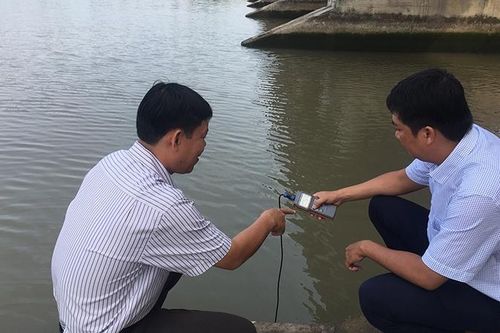 Chủ động chống hạn hán, xâm nhập mặn vào mùa khô