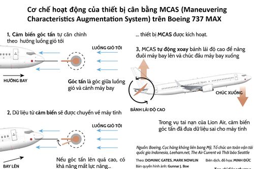 Hai chiếc Boeing 737 MAX có thể đã rơi như nào?