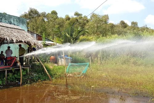 Báo động đỏ nguy cơ cháy ở lâm phần rừng tràm Cà Mau