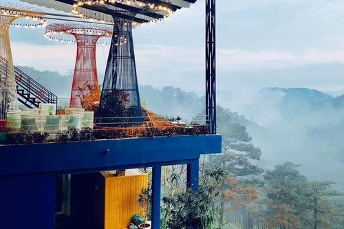 Quán cà phê 'khu vườn trên mây' xuất hiện ở Đà Lạt thu hút giới trẻ