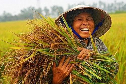 Cuộc vận động Người Việt Nam ưu tiên dùng hàng Việt Nam: Triển khai rộng đến đâu?