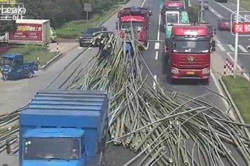 Xe tải phanh gấp làm tràn hàng trăm cây tre ra đường