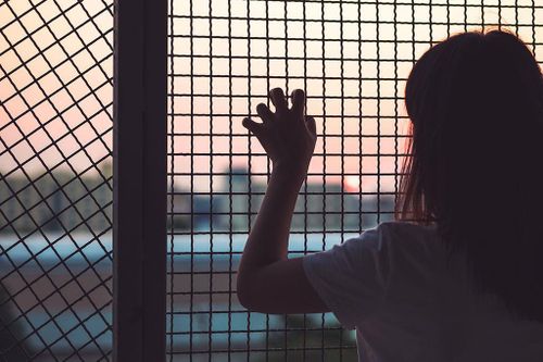 Trẻ em Việt 'biến mất' ở Hà Lan bị bán sang Anh để trồng cần sa