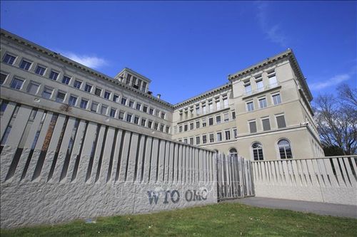 WTO hạ dự báo tăng trưởng thương mại toàn cầu năm 2019