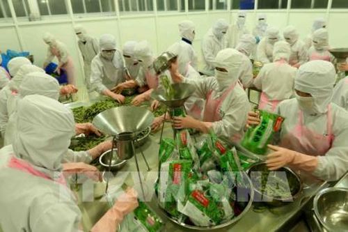 Các mặt hàng xuất khẩu của Bến Tre tăng khá