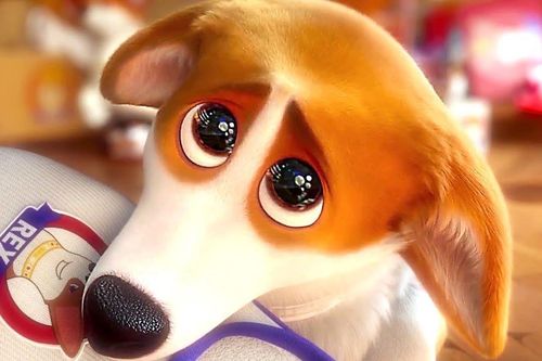 Trailer bộ phim 'Những chú chó hoàng gia'