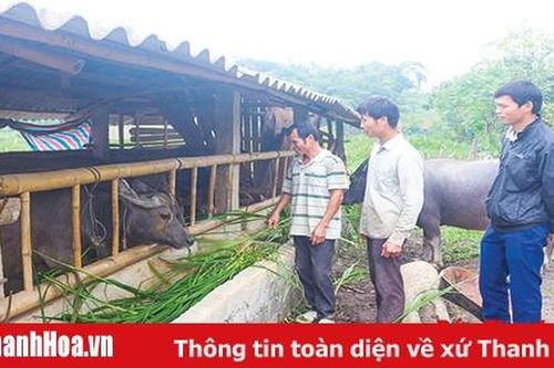 Ra khỏi 30a, huyện thoát nghèo vẫn còn nhiều nỗi lo