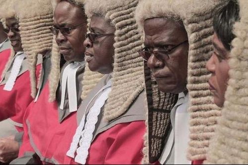 Dân Zimbabwe 'ném đá' vì chính phủ chi trăm ngàn USD mua tóc giả cho thẩm phán