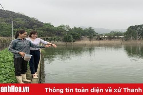 Huyện Hà Trung phát triển nuôi trồng thủy sản