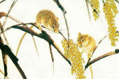 Sau tiết Thanh minh, ba con giáp trăm tỷ trong tay, vận may tới tấp