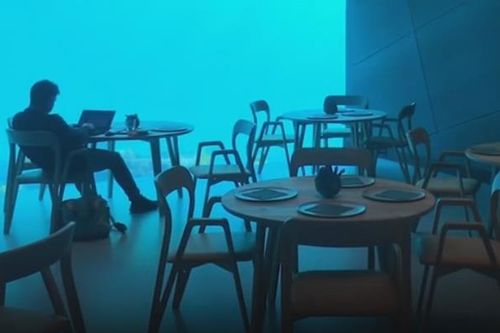 Nhà hàng dưới đáy biển chưa mở cửa đã 'cháy' chỗ