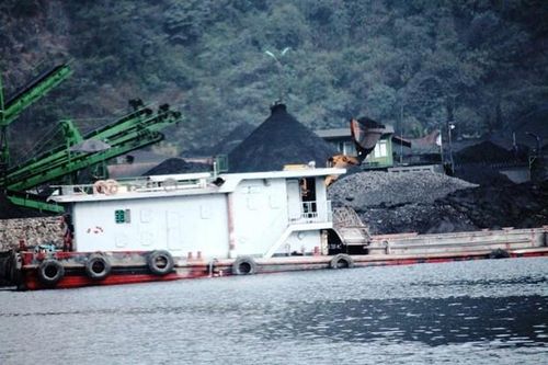 Các 'ông lớn' không cấp đủ than, EVN xin nhập khẩu thêm 'vàng đen'