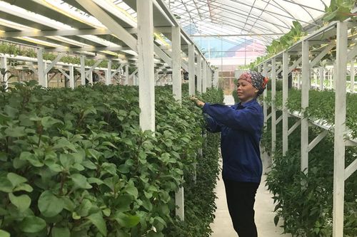Bài cuối: Tập trung đẩy nhanh tiến độ
