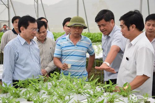 Kinh tế tập thể đóng góp gần 7% tổng sản phẩm trên địa bàn Nghệ An