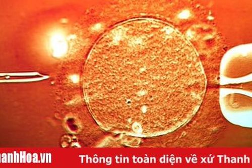 Hy Lạp chào đón em bé được sinh ra từ ADN của 3 người