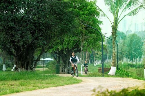 Sự thật về chất lượng không khí tại Ecopark