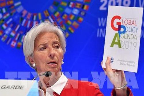 Cảnh báo của WB và IMF