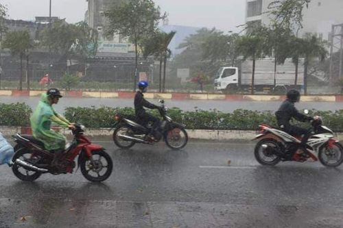 'Mưa vàng' tại Đắk Lắk sau nhiều tháng khô hạn