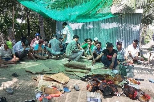 Tiền Giang: Công an nổ súng phá trường gà lớn, bắt giữ 31 đối tượng