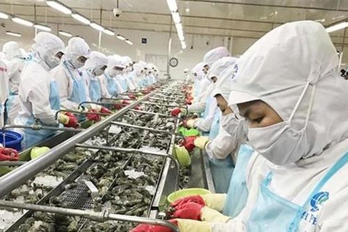 CPTPP vẫn còn nhiều thách thức