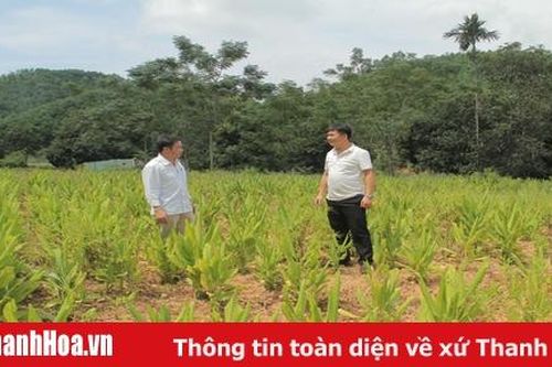 Xã Cán Khê phát huy tiềm năng, thế mạnh đồi, rừng