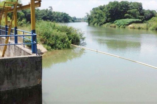 Nước sông Cầu Đỏ nhiễm mặn: Dawaco báo cáo khẩn