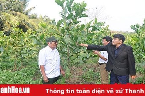 Đảng bộ huyện Như Thanh lãnh đạo phát triển kinh tế