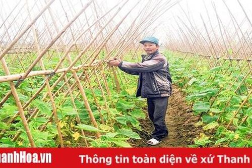 Huyện Nông Cống thực hiện có hiệu quả việc tái cơ cấu nông nghiệp