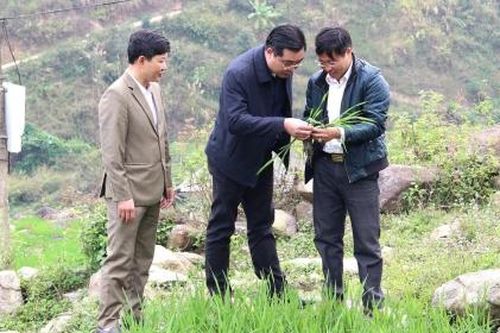 Huyện Mù Cang Chải: Thực hiện chương trình với quyết tâm chính trị và nỗ lực cao nhất