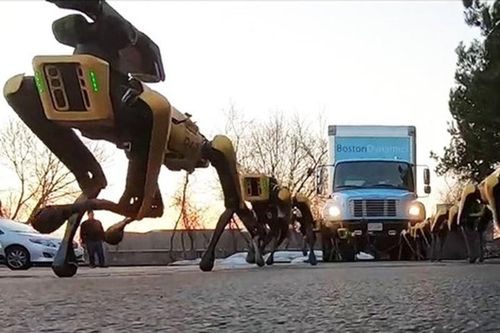 Đàn chó robot phô diễn sức mạnh, kéo xe tải hạng nặng lên dốc