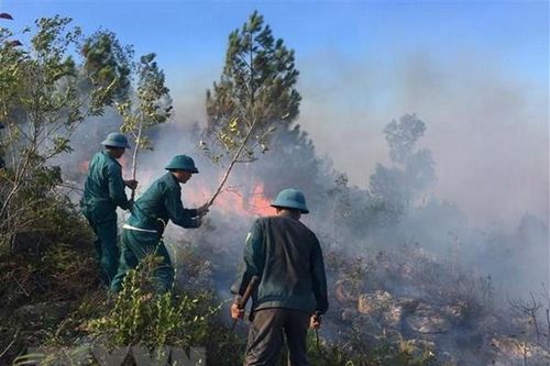 Cảnh báo nguy cơ cháy rừng cấp 'cực kỳ nguy hiểm' ở nhiều địa phương
