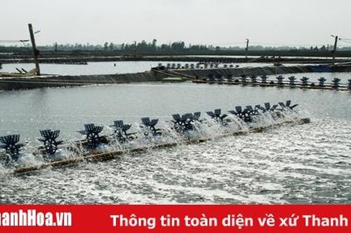 Thực hiện có hiệu quả việc tích tụ, tập trung đất đai, phát triển sản xuất quy mô lớn, công nghệ cao: Bài 1: Tích tụ đất đai – xu hướng tất yếu của sản xuất nông nghiệp