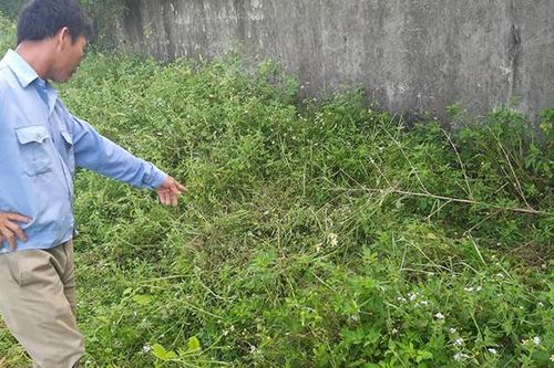 Công an điều tra nghi án 2 nam sinh 14 tuổi xâm hại cô bé lớp 2 sau trường