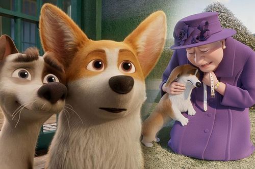 Review phim hoạt hình 'The Queen's Corgi': Mượn chuyện những chú chó để giáo dục con trẻ