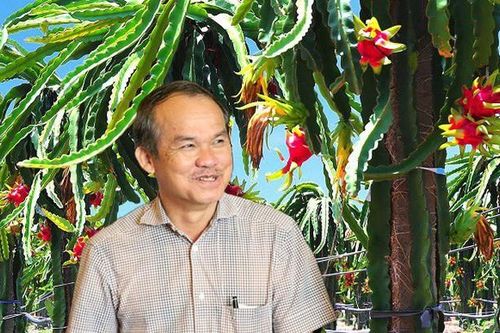 Bầu Đức sắp 'dứt tình' với bất động sản