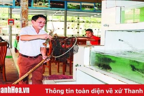 Tăng cường công tác bảo đảm an toàn thực phẩm mùa du lịch