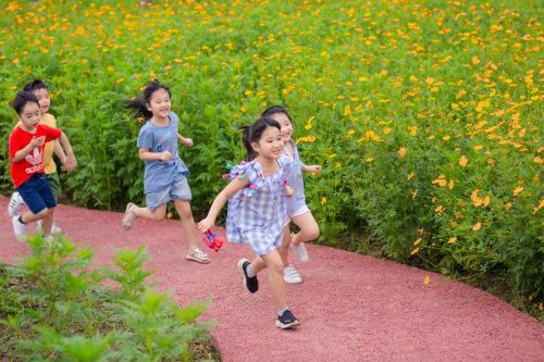 Thỏa sức chơi với thiên nhiên dịp nghỉ lễ 30/4 tại Ecopark